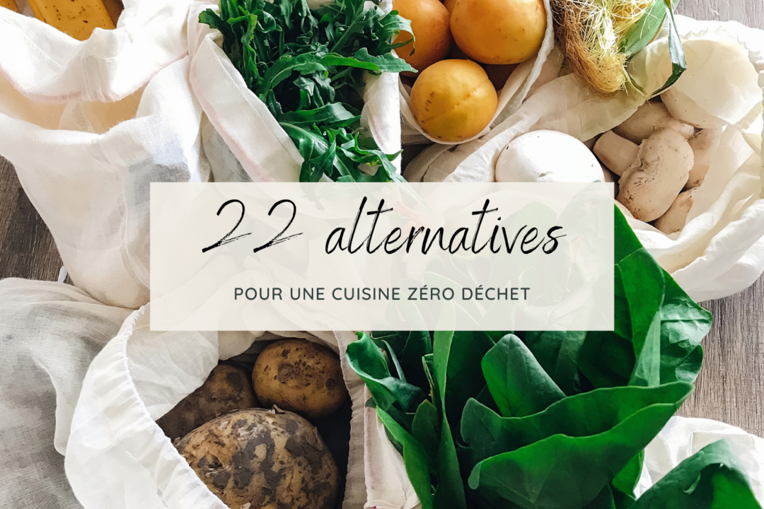 22 Alternatives - Cuisine Ecolo